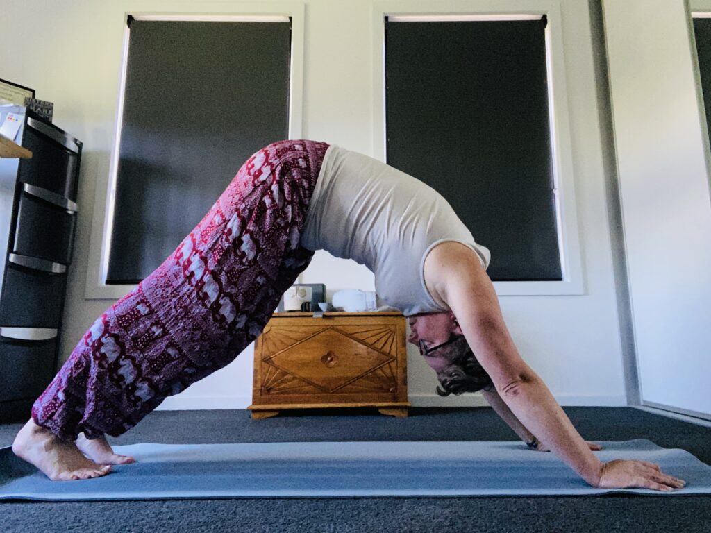 Em in Downward Dog. it's not a very good one. Her heels are off the ground and she has no shoulder flexibility to speak of.