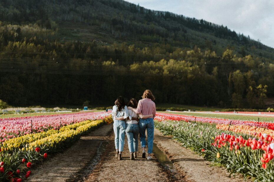 Three friends walk arm-in-arm through a field of tulips. They are walking away from the camera towards a tree covered mountain.
